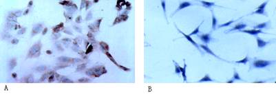 figure1